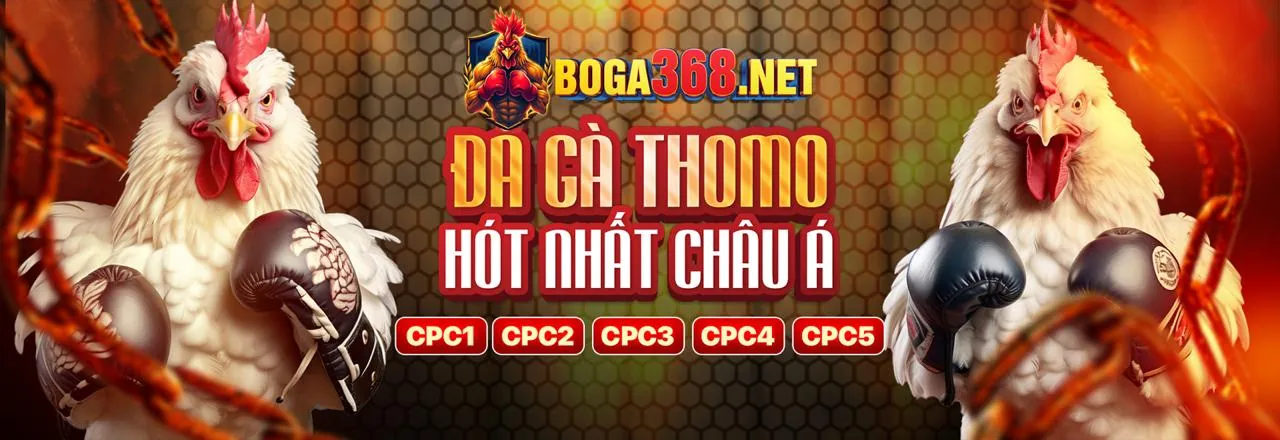Hướng dẫn chơi game bài tại 8day bet 2026