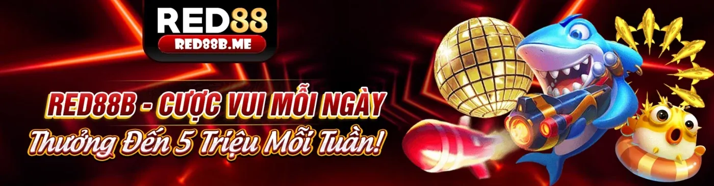 8day bet cập nhật tin tức khuyến mãi và sự kiện mới nhất